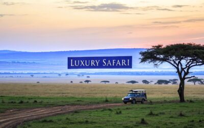 African Safari Vacation: Your Expert Guide to a Bespoke Journey
